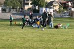 C-Elephants  0027_resize